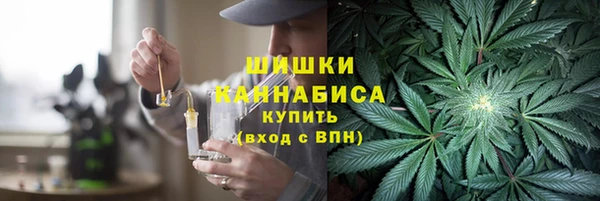 крисы Вязьма