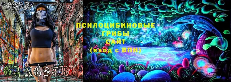 Галлюциногенные грибы Psilocybine cubensis  Сим 